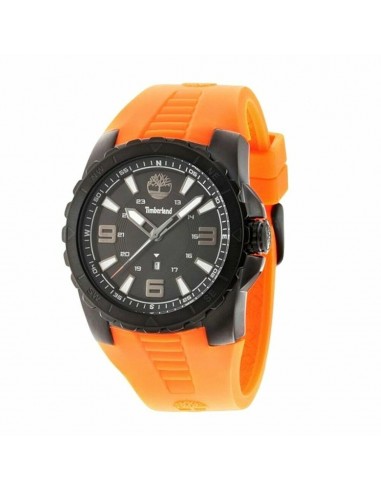 Montre Homme Timberland 14478JSB-02P (Ø 45 mm) Comment ça marche