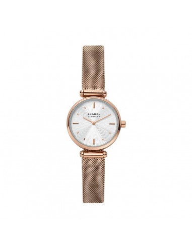 Montre Femme Skagen AMBERLINE (Ø 28 mm) destockage