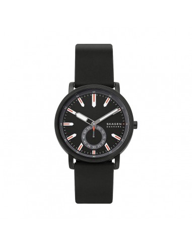 Montre Homme Skagen COLDEN (Ø 40 mm) la livraison gratuite