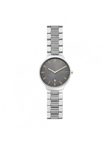 Montre Homme Skagen GRENEN (Ø 38 mm) de votre