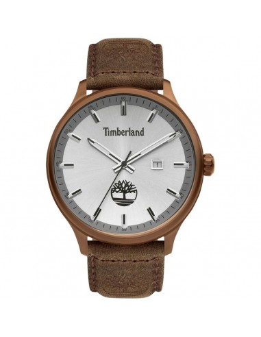 Montre Homme Timberland TDWGB2102203 (Ø 46 mm) du meilleur 