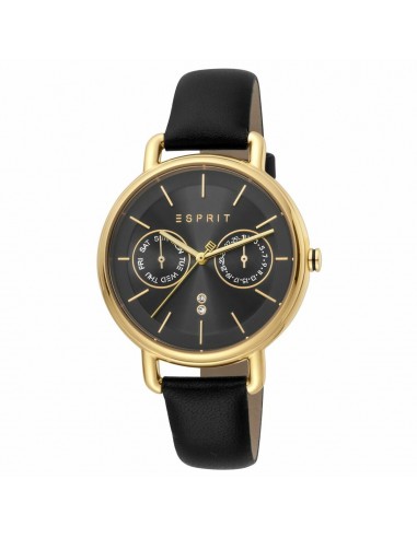 Montre Femme Esprit ES1L179L0045 france