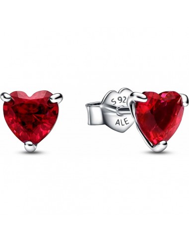 Boucles d´oreilles Femme Pandora 292549C01 Acier inoxydable Argent 925 Venez découvrir notre 