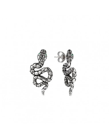 Boucles d´oreilles Femme Albert M. WSOX00307.GAG de l' environnement