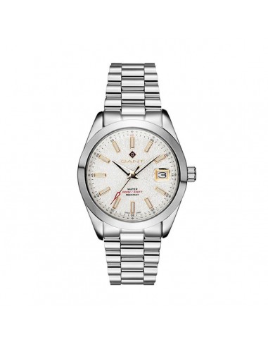 Montre Homme Gant G163001 Argenté Fin de série