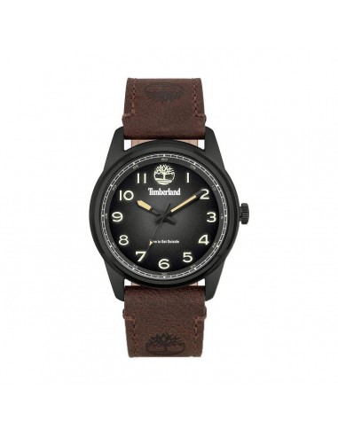 Montre Homme Timberland TDWGA2152104 acheter