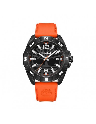 Montre Homme Timberland TDWGN2202103 2 - 3 jours ouvrés.