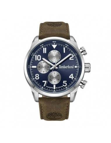 Montre Homme Timberland TDWGF0009501 les ctes